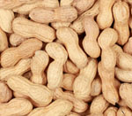 ground nut seeds vijapur, ground nut seed manufacturer vijapur, ground nut seeds gujarat, ground nut seed manufacturer gujarat, ground nut seeds india, ground nut seed manufacturer india