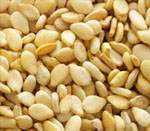 sesamum seeds vijapur, sesamum seed manufacturer vijapur, sesamum seeds gujarat, sesamum seed manufacturer gujarat, sesamum seeds india, sesamum seed manufacturer india